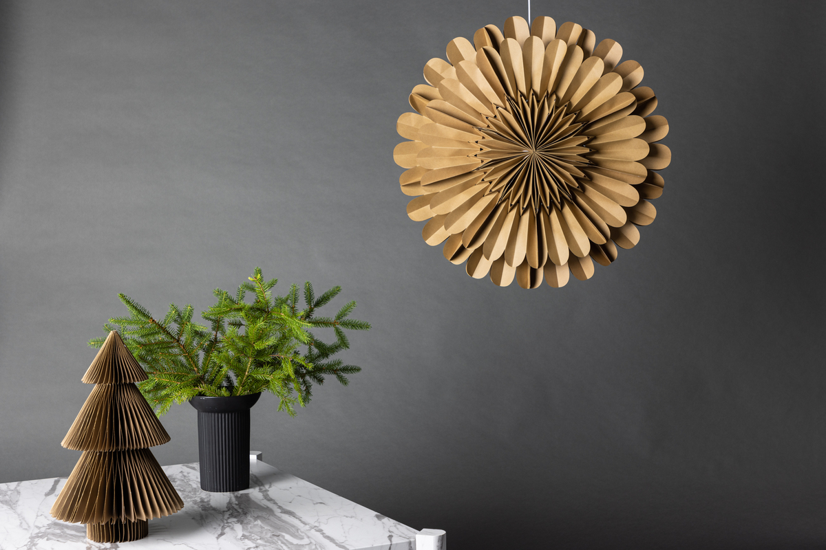 Gwiazdka adwentowa 'Mora' - Brązowa