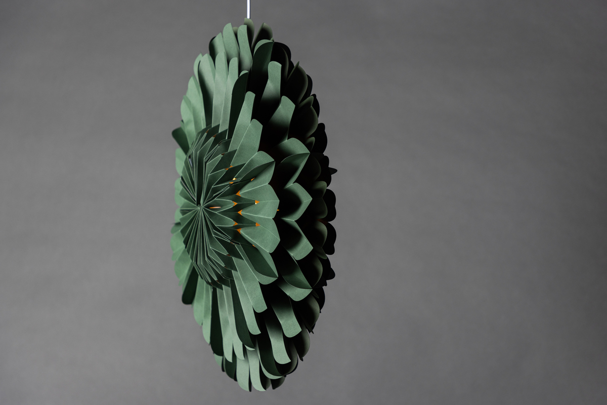 Gwiazdka adwentowa 'Mora' - Zielona