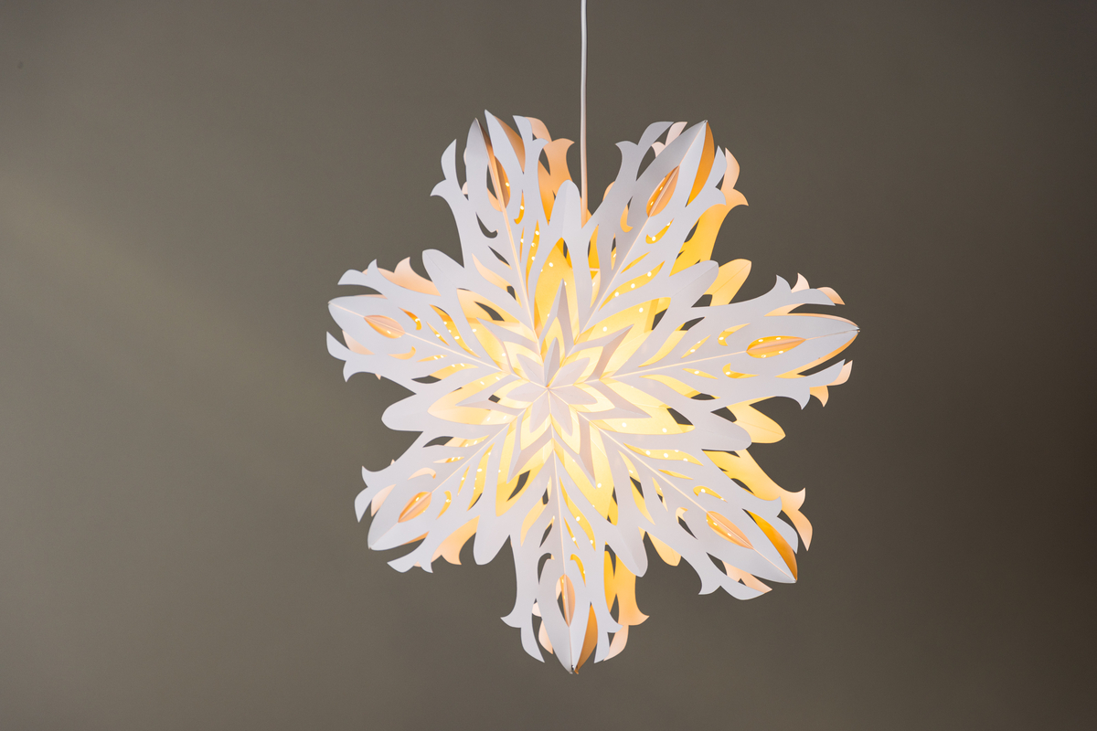 Gwiazdka adwentowa 'Kungälv' - Biała