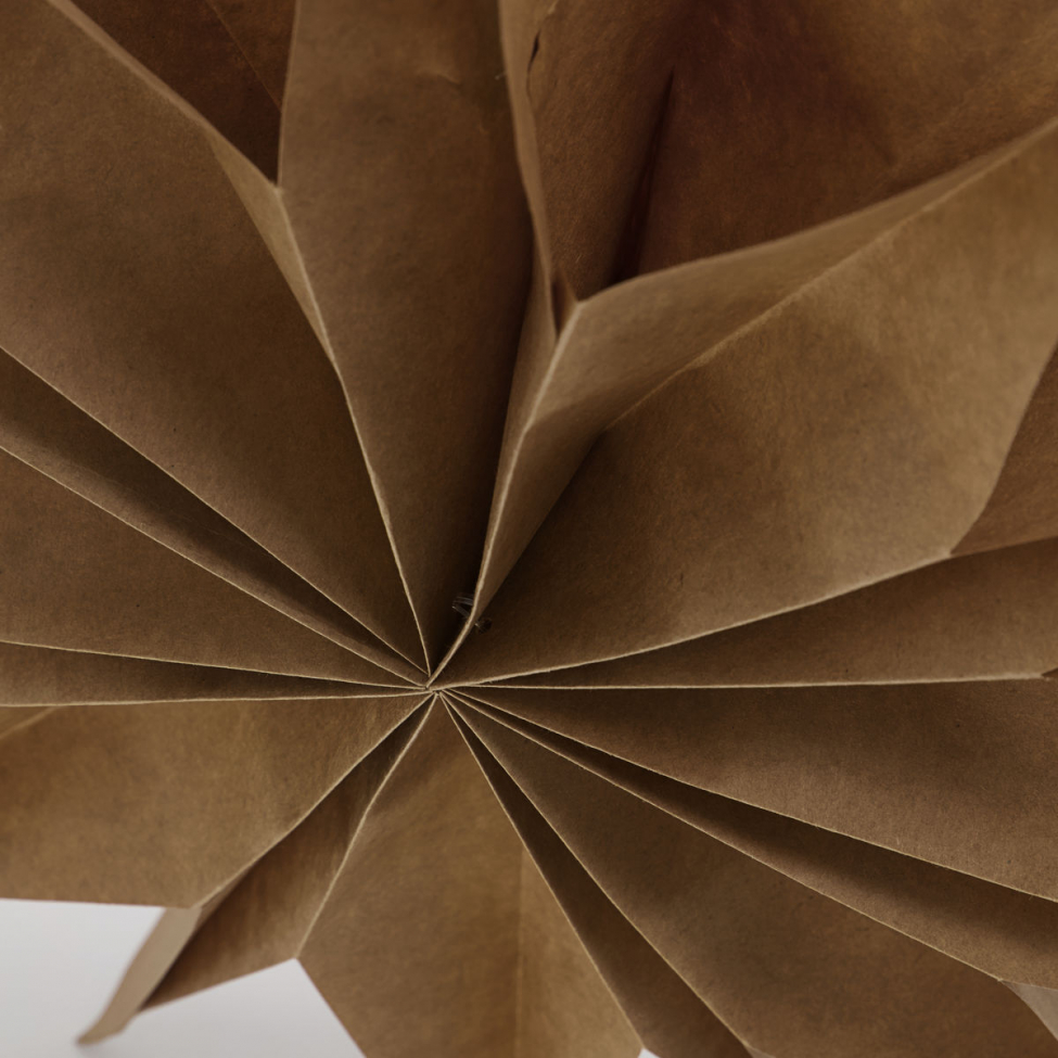 Gwiazda betlejemska 'Capella' L - Naturalny