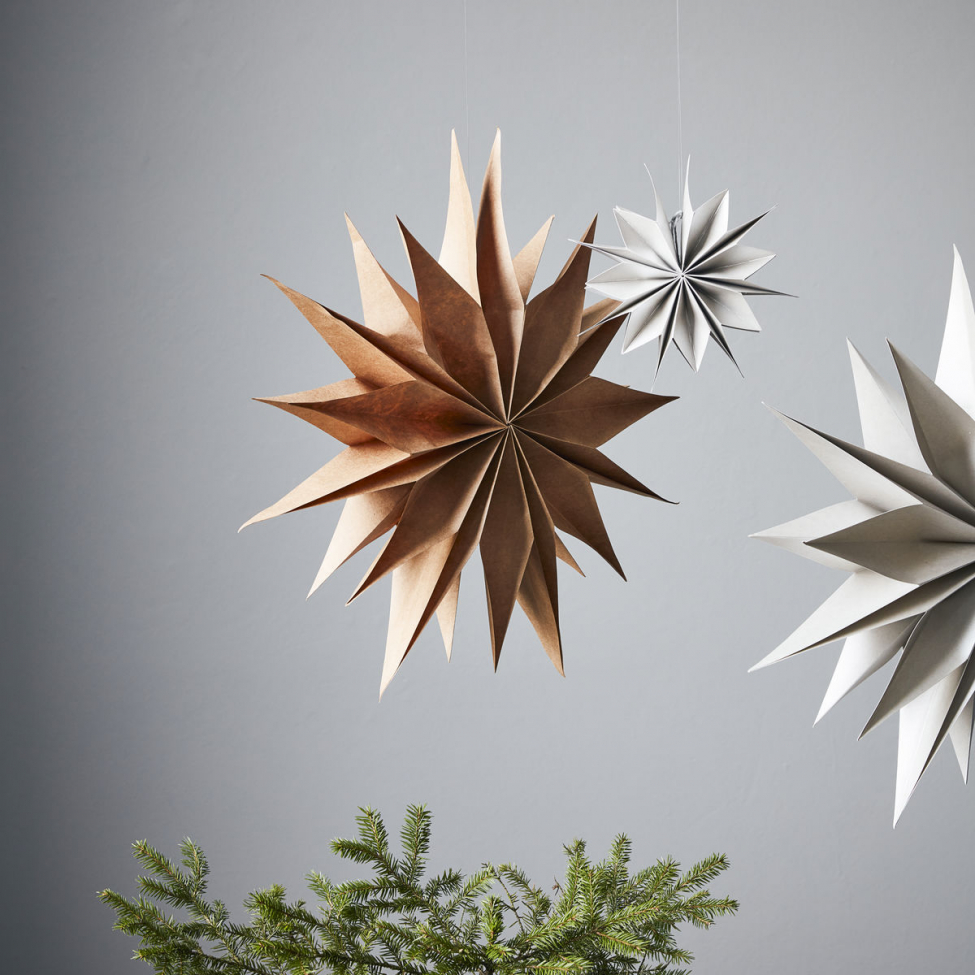 Gwiazda betlejemska 'Capella' L - Naturalny