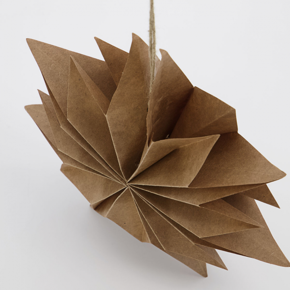 Gwiazda betlejemska 'Capella' S - Naturalny