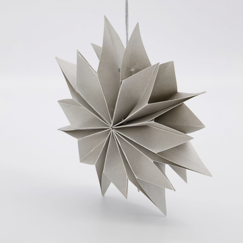 Gwiazda betlejemska 'Capella' - Perła