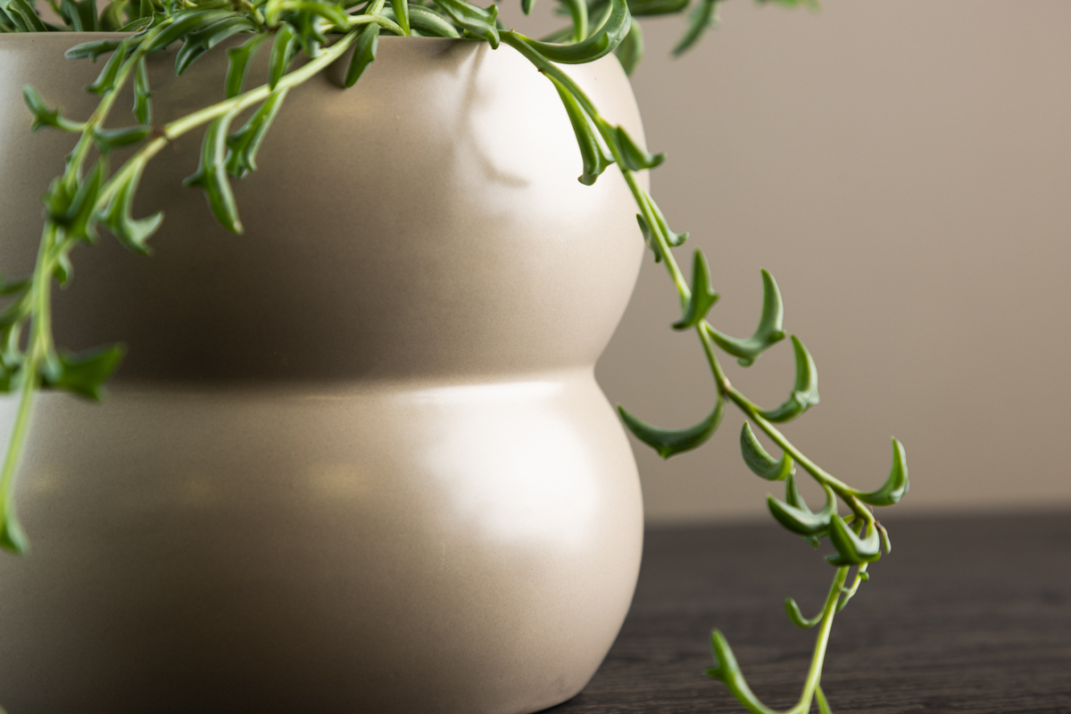 Doniczka 'Bourges' - Beżowy