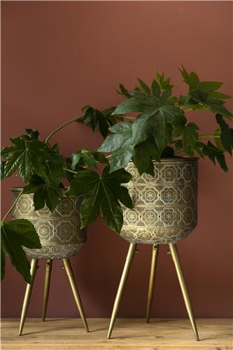 Donica 'Botanique' L - Mosiądz