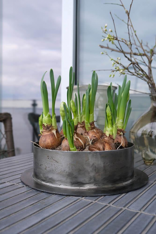 Doniczka 'Fred' L - Żelazo