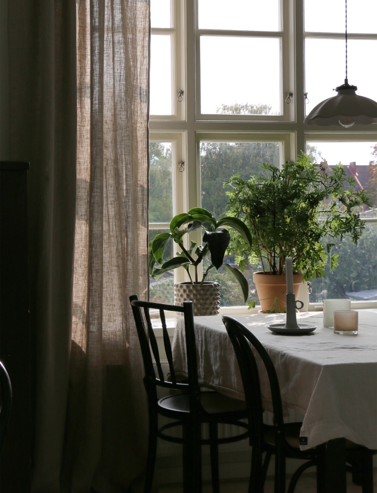 Firanka 'Sunshine' 140x250 - Naturalna