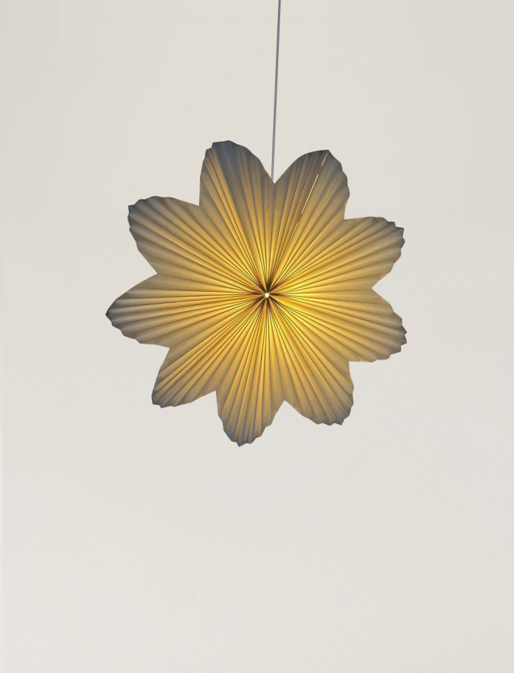 Gwiazda adwentowa 'Daisy' 60cm - Biały